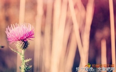 关于过眼云烟的语句