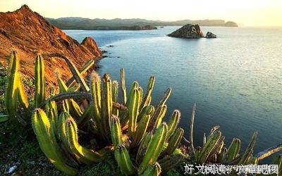 关于扣人心弦的格言