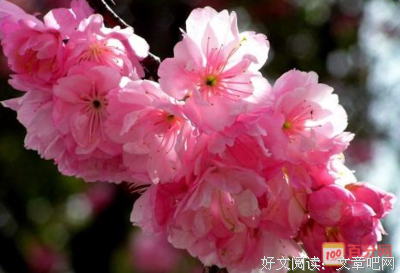 喜欢们以如有的，名句欣赏