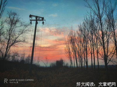 南城荒芜.的句子