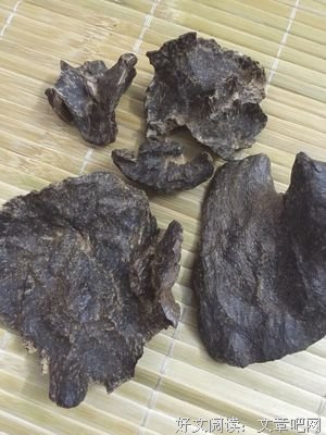 最经典的《沉香如屑》名句欣赏