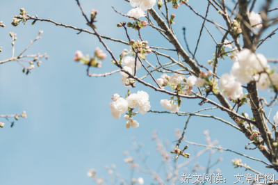 永远不要高估自己！