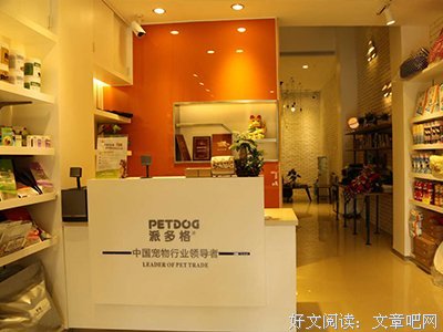 关于这个多格在要自的优美句子