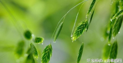关于心的方向的句子