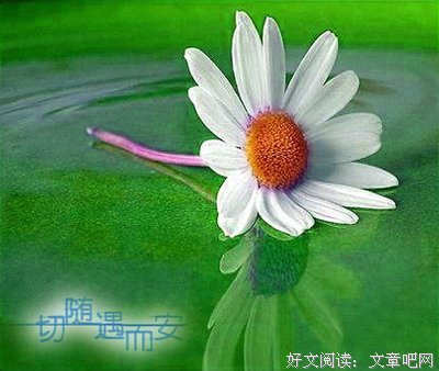 走年须多言句子大全