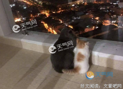蝶戏 戏里戏外唱人生经典名句