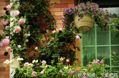 《我的第一本哲学启蒙书2：这个世界的奥秘》读后感100字
