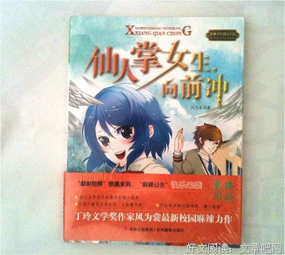 大小姐们读后感精选