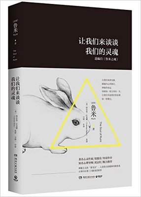 《鲁米：偷走睡眠的人》的读后感大全
