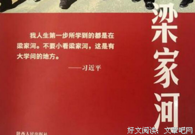 车浩的刑法题经典读后感有感