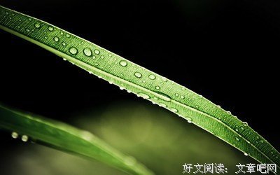 有关背井离乡的美文美句摘抄