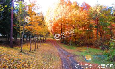 描写始终如一的经典句子