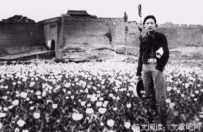 好婚姻是人间最美四月天