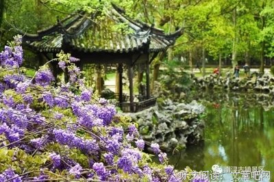 南浔，到底有多美
