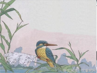 《羽毛》的句子