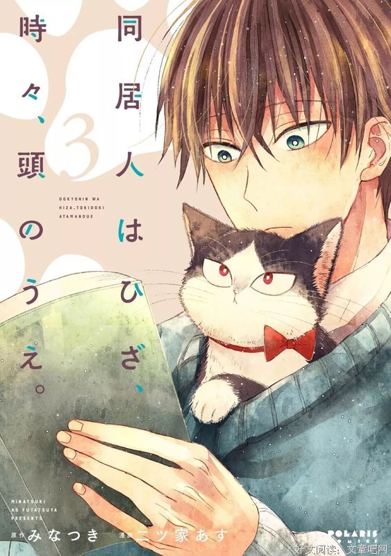 《同居人是猫》经典观后感集