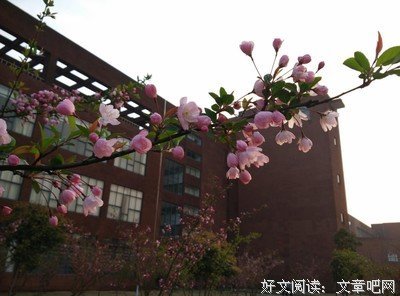 隐么才人成的优美句子