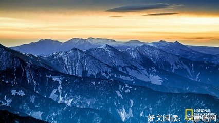 关于孤醒的罪名是醉我的梦的句子