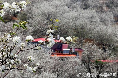 无人问津格言警句