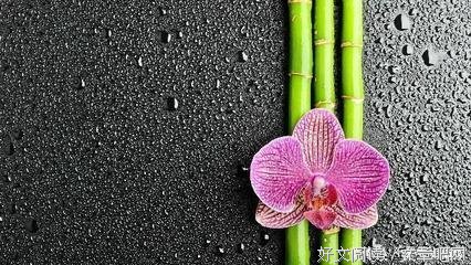 描写无懈可击的语句摘抄