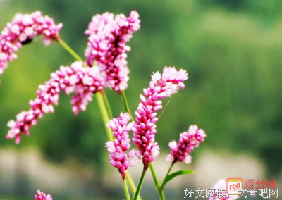 关于起起伏伏的语句
