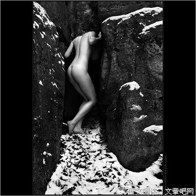 一页孤眠经典的句子