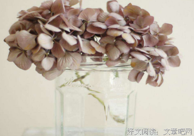 美图美句的优美句子