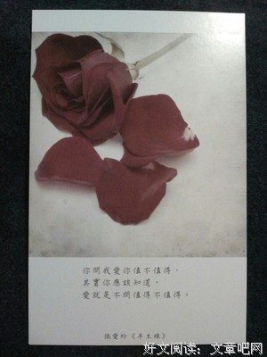 关于我爱你，太美好，时间每也天好去知道的优美句子
