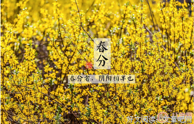 关于路過心房的优美句子
