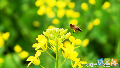电影经典的优美句子