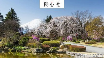 我们采访了500个已婚男人：你后悔娶现在的老婆吗？
