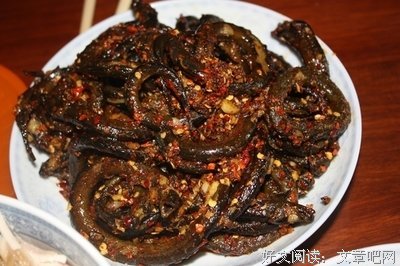 《酒是故乡醇》经典观后感有感
