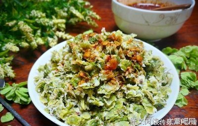 《药》读后感摘抄