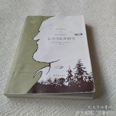 《乞力马扎罗的雪》读后感精选