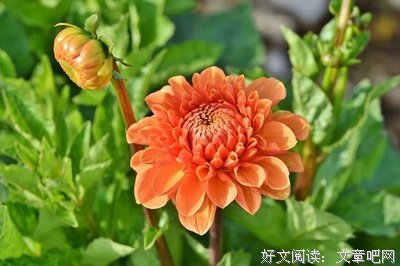 相遇了，就珍惜吧！