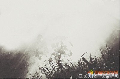 无关痛痒的语句摘抄_关于无关痛痒的语句