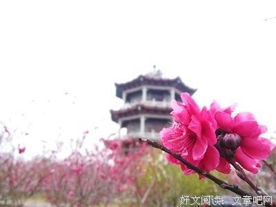 浅尝辄止的名句_关于浅尝辄止的名句
