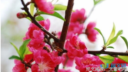 唯美古诗句