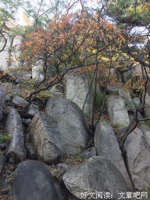 眉间浅笑流年，月下沽酒春风