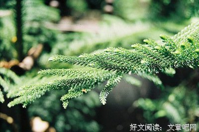 哲理句句子