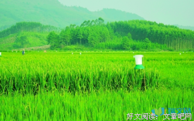 关于夏人真可未人真可的句子