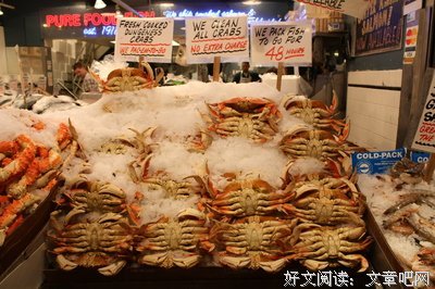 《黄石 第二季》影评精选