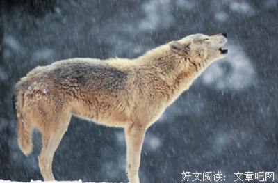 意义名句欣赏