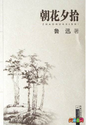 朝花夕拾好词好句