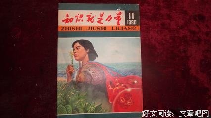 《知识就是力量》观后感精选