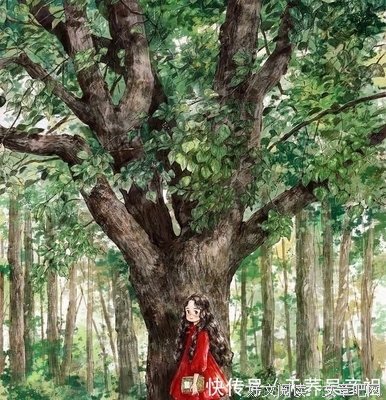 杨剧的句子