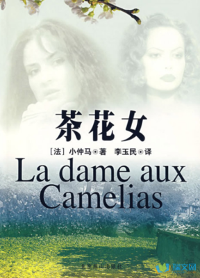《茶花女》读后感锦集