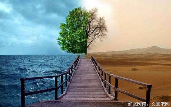 心有猛虎，细嗅蔷薇