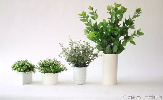愿你也能，向生活摆出喜悦的姿态