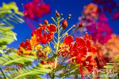 别总问人家为什么 想想自己配不配